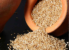 Kodo Millet