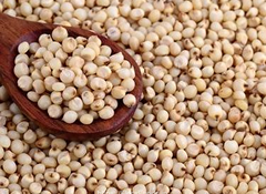 Jowar Millet