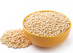 Urad Dal