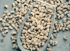 Cow Peas