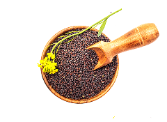 Mustard