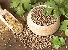 Coriander